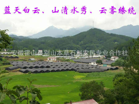 微信图片_20180920225809副本.jpg