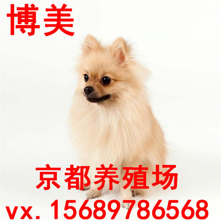 timg (75)