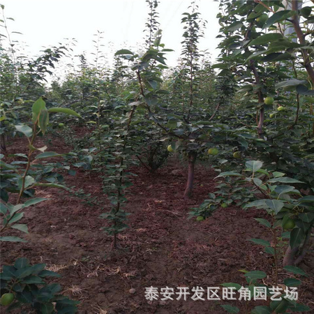 微信图片_20170618120227