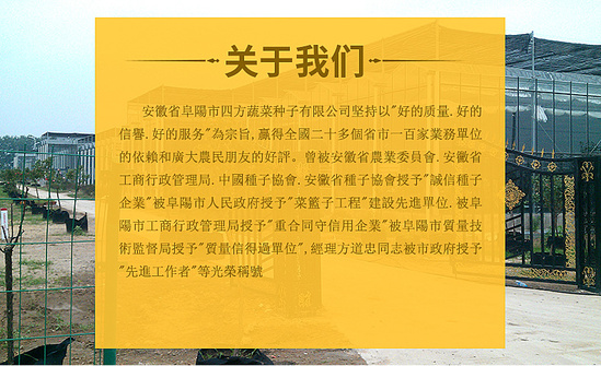 四方种子