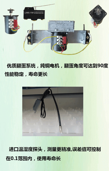 详情页鸽子式_04