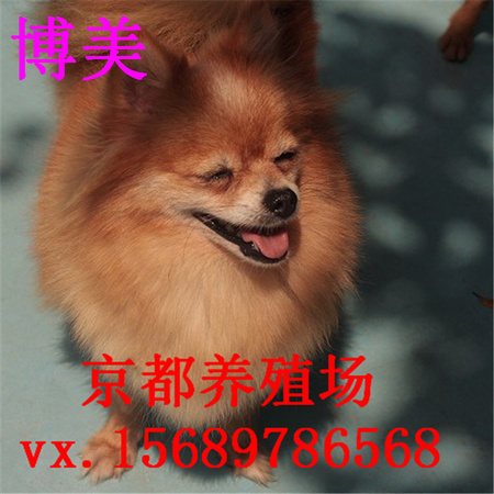 01300000098342122793151769984