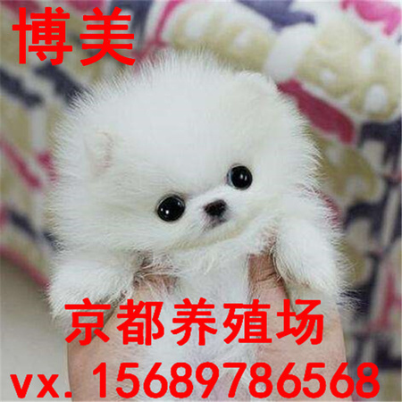 timg (77)