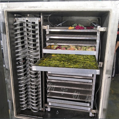 柠檬葡萄烘干机 果蔬真空冷冻干燥机苹果干燥烘干房 空气能烘干箱
