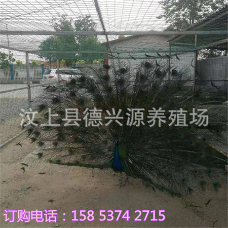 微信图片_20190717185912.jpg