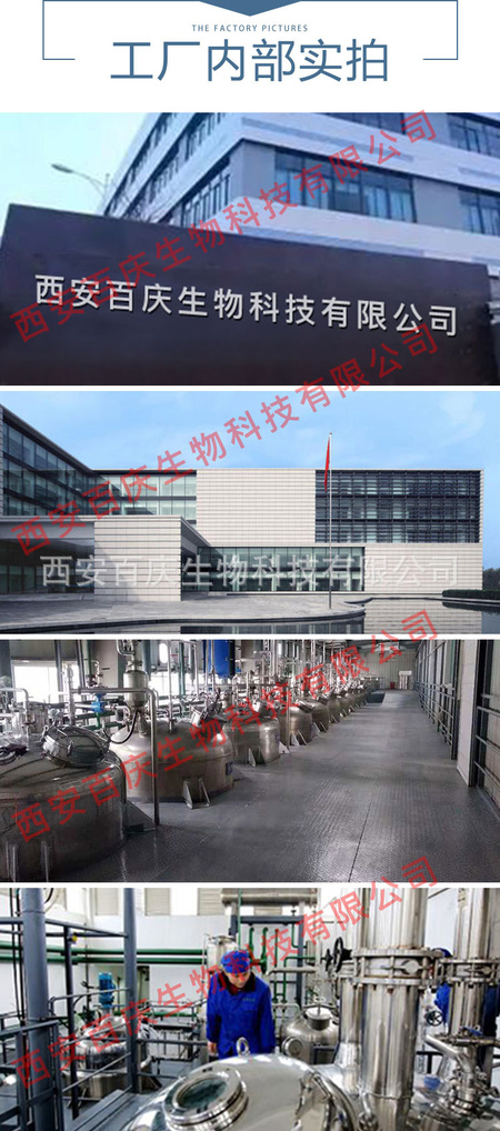 提取物_09.jpg