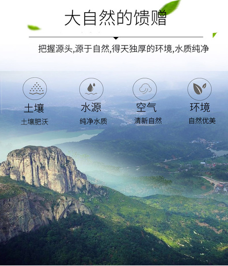 详情新_03.jpg