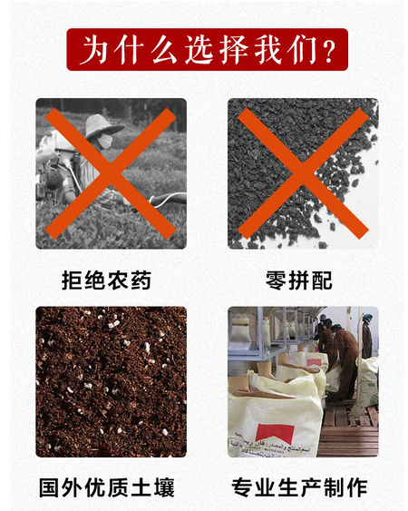 选择