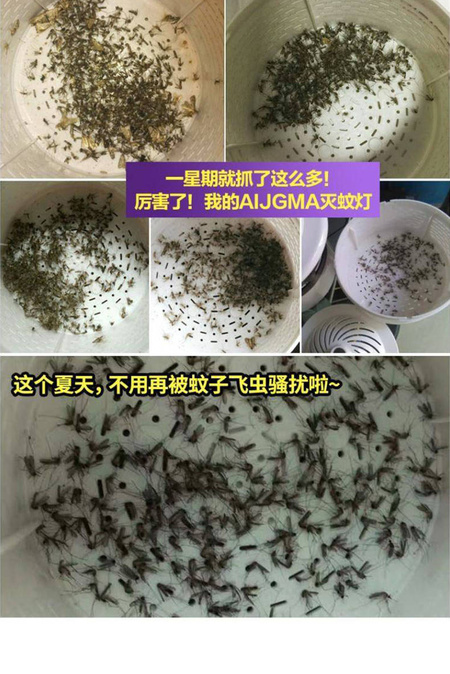 微信图片_20190416122230