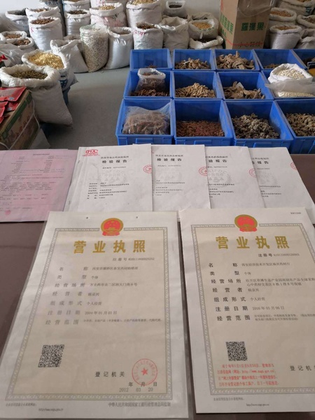 照1