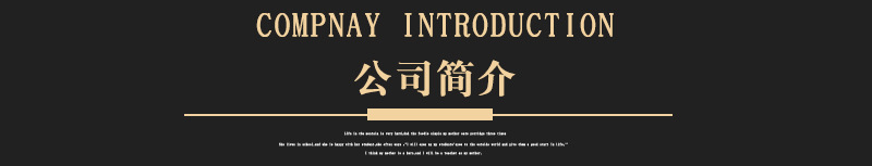 公司简介