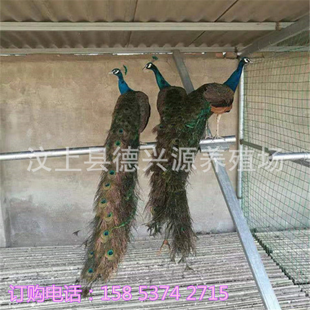 微信图片_20190717185904.jpg