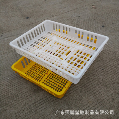 厂家广州温氏养殖家兽市场运输组合式鸡笼 皱鸡耐撞 塑料鸭笼