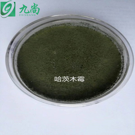微信图片_20190517155111_副本_副本