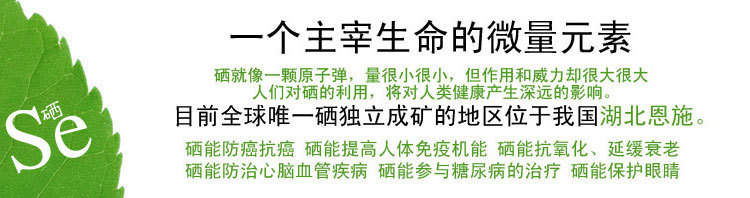 硒元素