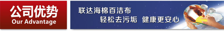 公司优势