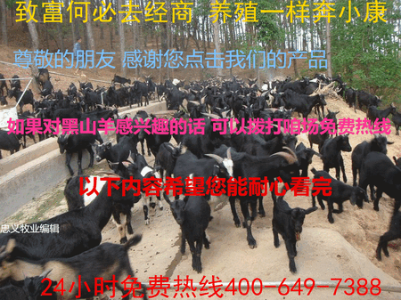 20140127171017526