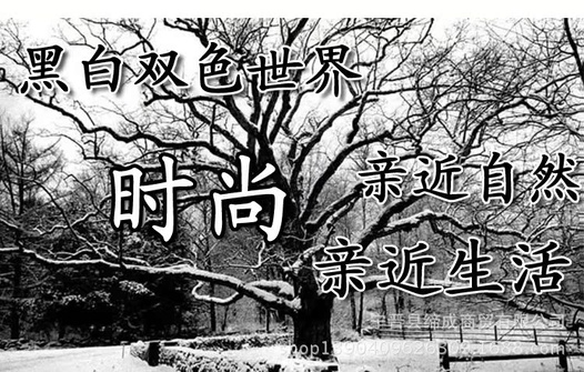 黑白双色