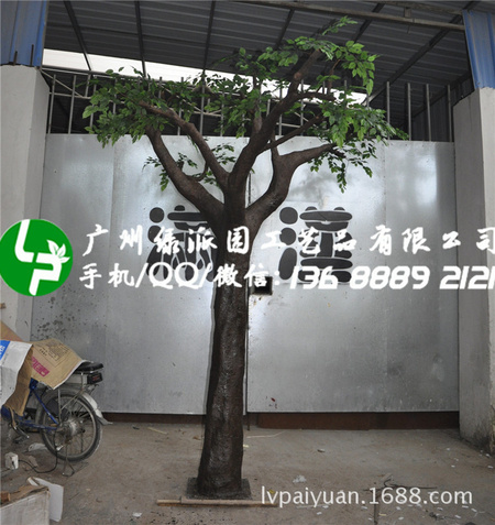 绿派园榕树233_副本