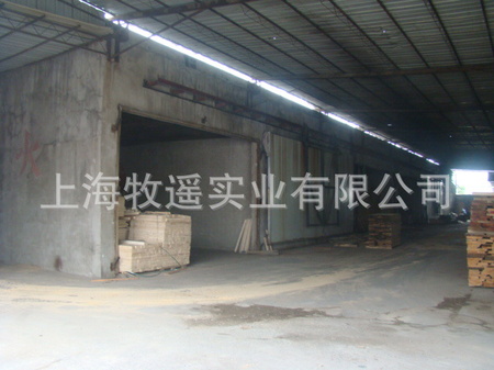 DSC00619