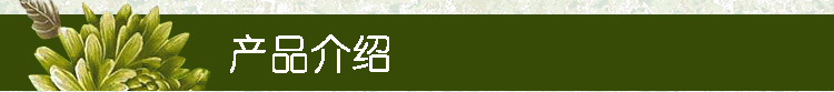 产品介绍