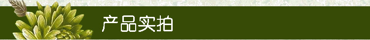 产品实拍