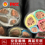 【厂家直供】铜力缆 聚氯乙烯护套材质 电力电缆批发优惠