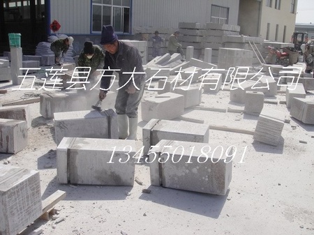 DSC04970