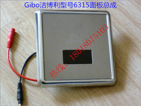6315（2）