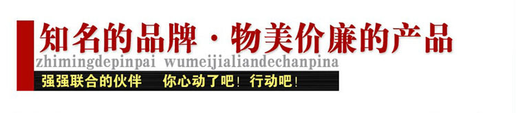公司介绍