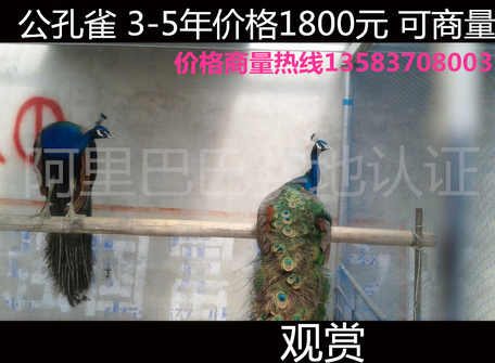QQ图片20150610093905