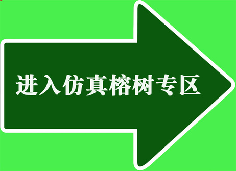仿真榕树专区