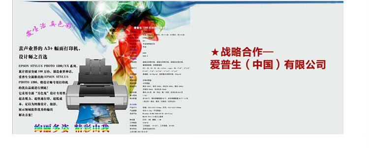 公司介绍