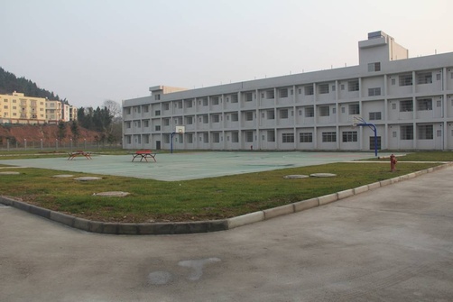 图片41