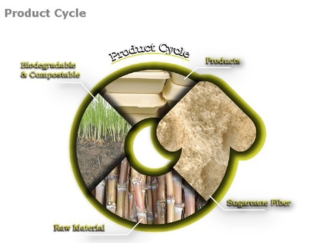 products cycle