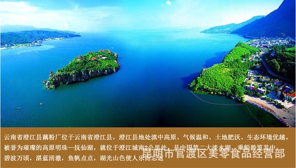 玫瑰藕粉280详 (3)