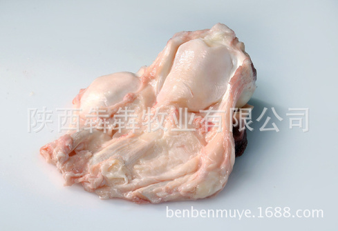 窝骨筋5949
