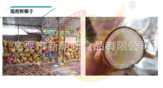 椰子图片