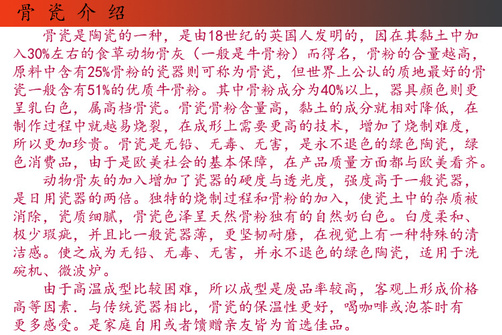 骨瓷介绍副本