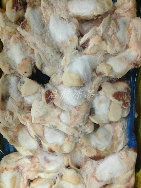澳洲牛窝骨14