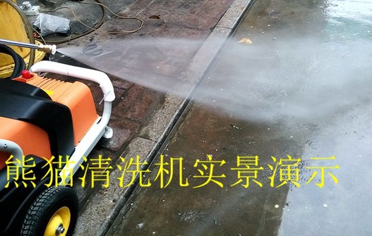 熊猫清洗机效果图片 (4)