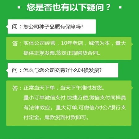 绿化草籽一亩地需要多少公斤种子