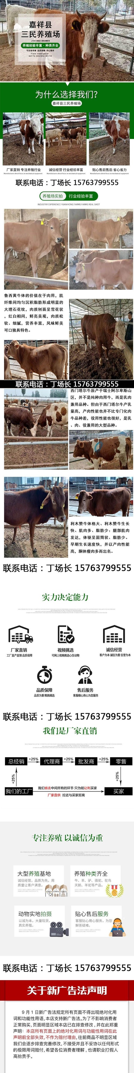 牛2.jpg