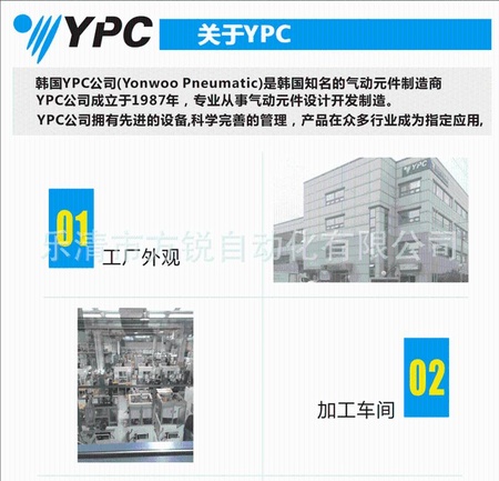 关于YPC01