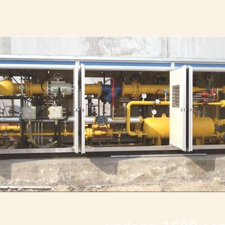 气化器 LNG气化调压撬 CNG燃气调压箱
