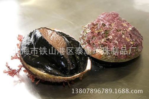 black lip abalone shell黑唇鲍鱼壳