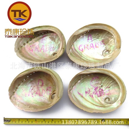 ABCD Grade abalone shells ABCD