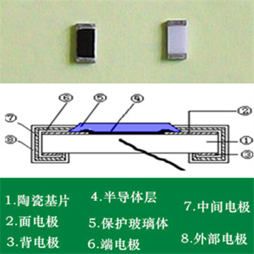 单体详细介绍