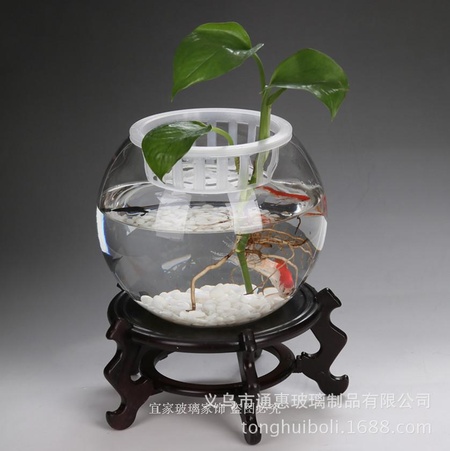 透明玻璃圆球小金鱼缸水培花瓶家居工艺装饰品摆件厂家直销