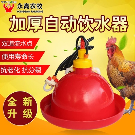 新款加厚鸡用普拉松自动饮水器 鸡饮水壶 养鸡自动饮水桶槽批发